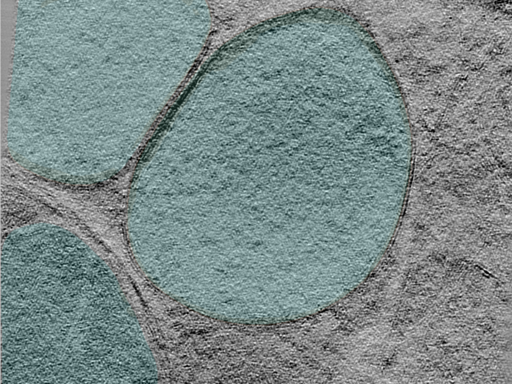 key visualization for 25mar28b_Position_100_2