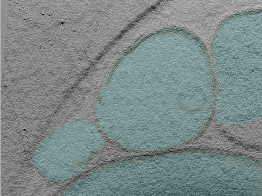 key visualization for 25mar28b_Position_100_5