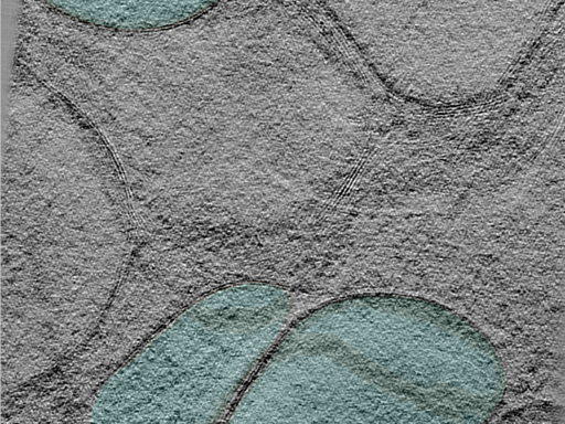 key visualization for 25mar28b_Position_101_5