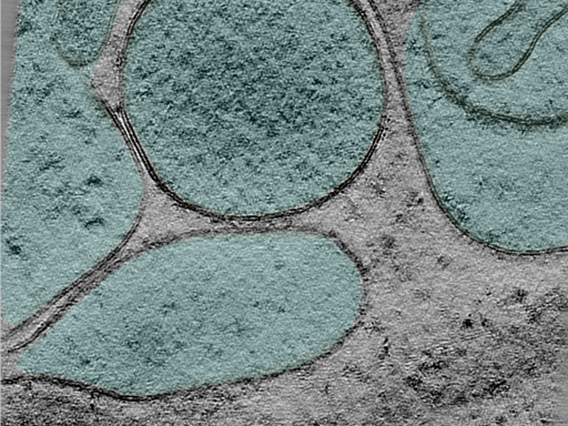 key visualization for 25mar28b_Position_102_3