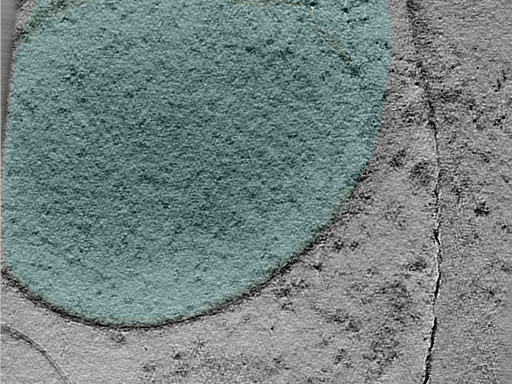 key visualization for 25mar28b_Position_102_4