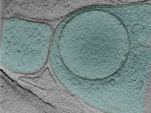 key visualization for 25apr01a_Position_100