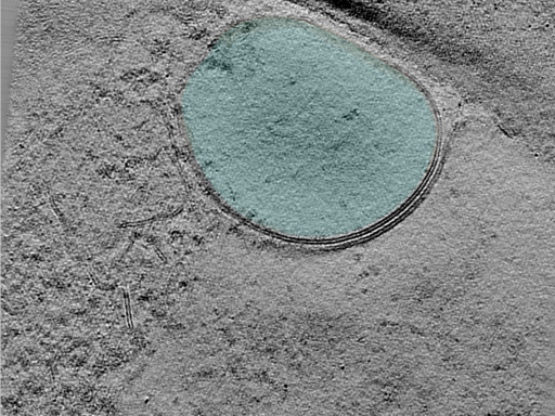 key visualization for 25apr01a_Position_100_2