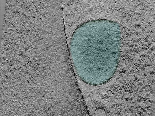 key visualization for 25apr01a_Position_101