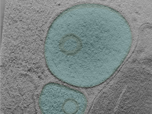 key visualization for 25apr01a_Position_102