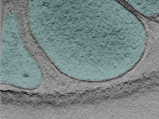 key visualization for 25apr01a_Position_102_4