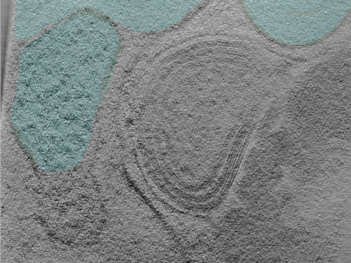 key visualization for 25apr01a_Position_104