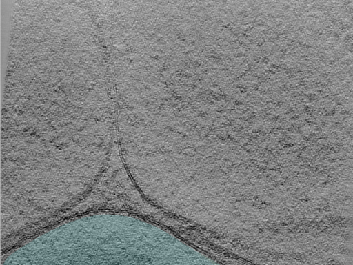 key visualization for 25apr01a_Position_104_3