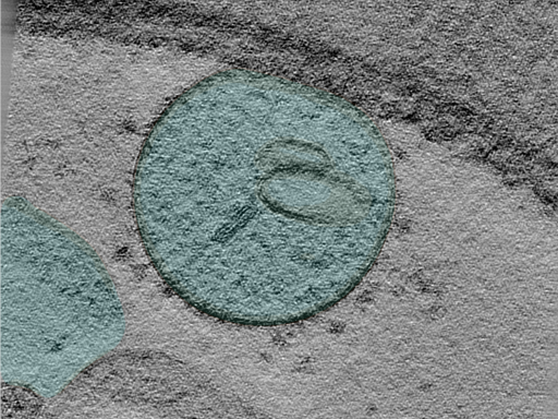 key visualization for 25jun02a_Position_1