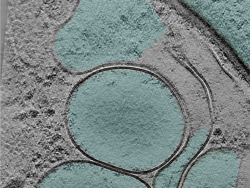 key visualization for 25jun02a_Position_100_2