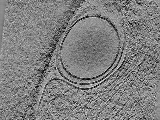 key visualization for 25jun02a_Position_100_3