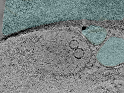 key visualization for 25jun02a_Position_101