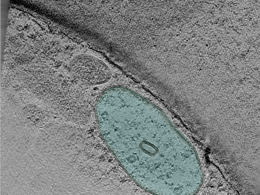 key visualization for 25jun02a_Position_101_3