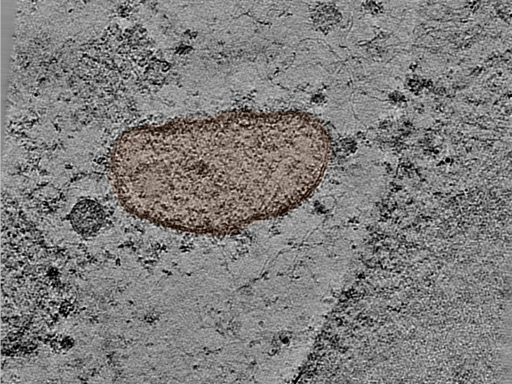 key visualization for 25jun16a_Position_28_3