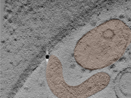 key visualization for 25jun16a_Position_28_4