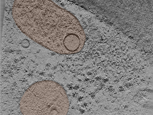 key visualization for 25jun16a_Position_33_3