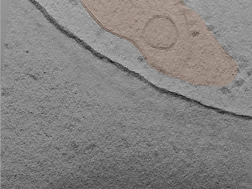 key visualization for 25jun16a_Position_34_2