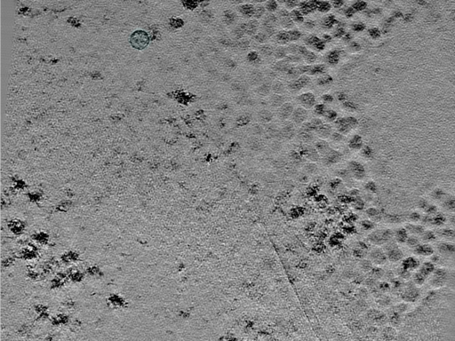 key visualization for 25jul02a_Position_10