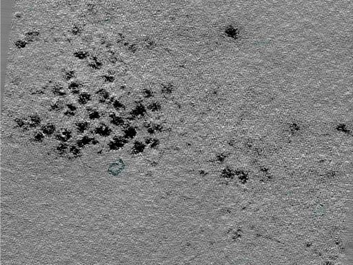 key visualization for 25jul02a_Position_10_2