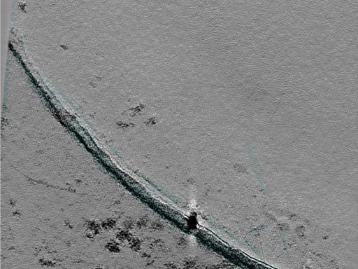 key visualization for 25jul02a_Position_10_3