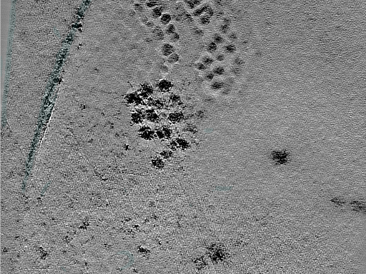 key visualization for 25jul02a_Position_10_6