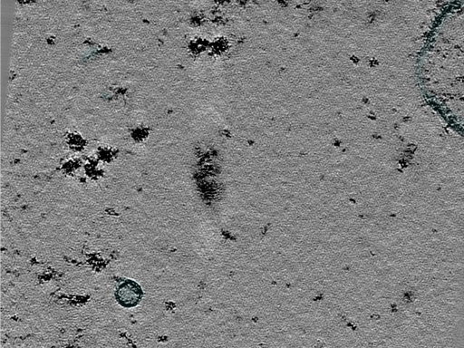 key visualization for 25jul02a_Position_11_2