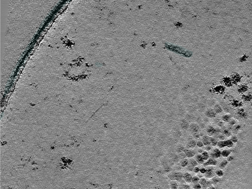 key visualization for 25jul02a_Position_11_5