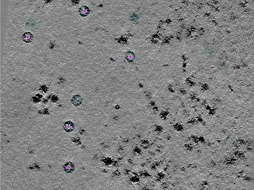 key visualization for 25jul02a_Position_8_5