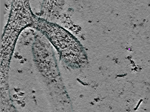 key visualization for 25jul16a_Position_10