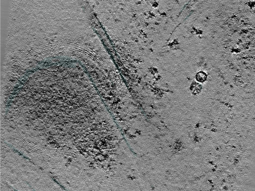 key visualization for 25jul16a_Position_106