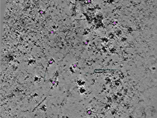 key visualization for 25jul16a_Position_107