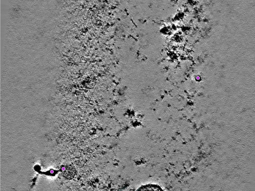 key visualization for 25jul16a_Position_110