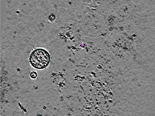 key visualization for 25jul16a_Position_114