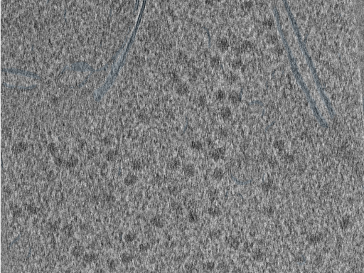 key visualization for 210610_Lamela1_Position_37