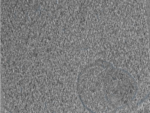 key visualization for 210610_Lamela1_Position_39