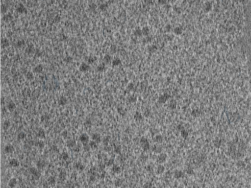 key visualization for 210610_Lamela1_Position_41