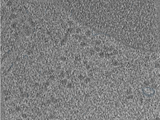 key visualization for 210610_Lamela2_Position_29