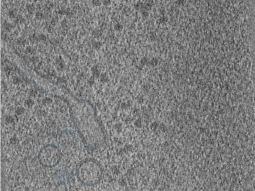 key visualization for 210610_Lamela2_Position_32