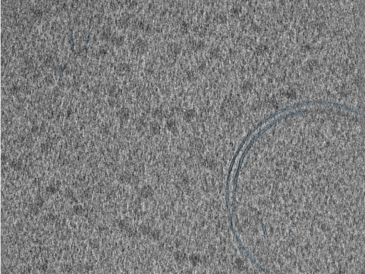 key visualization for 210610_Lamela2_Position_34