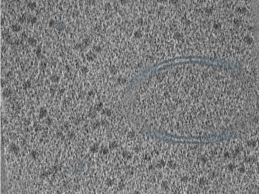 key visualization for 210610_Lamela3_Position_46