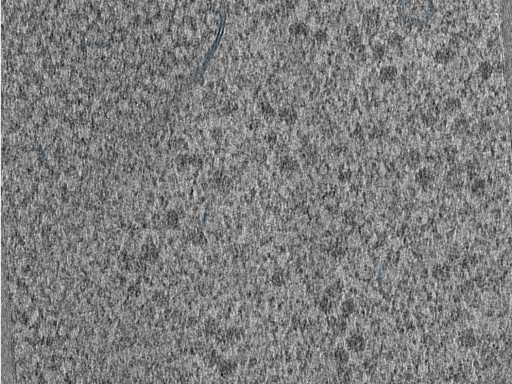 key visualization for 210614_lamella11_Position_52