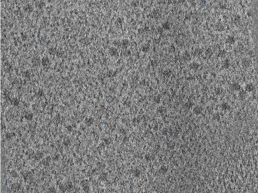 key visualization for 210614_lamella11_Position_54