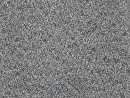 key visualization for 210614_lamella11_Position_55