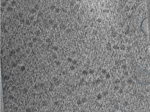 key visualization for 210614_lamella1_Position_15