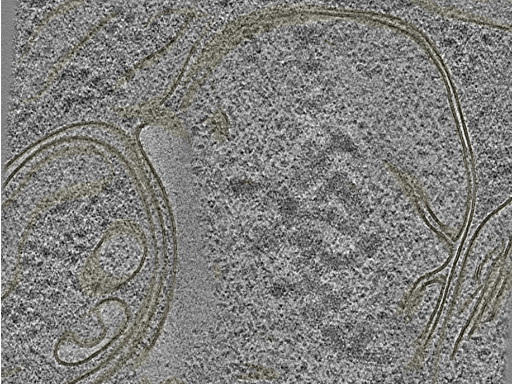 key visualization for 20221005_P1_ts_003