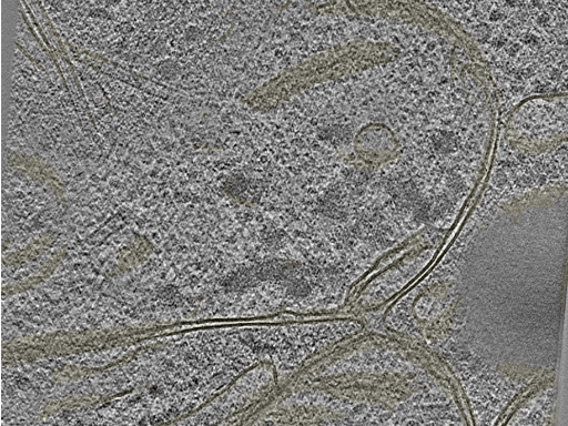 key visualization for 20221005_P1_ts_007