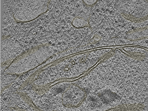 key visualization for 20221005_P2_ts_002