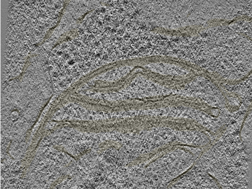 key visualization for 20221005_P2_ts_003