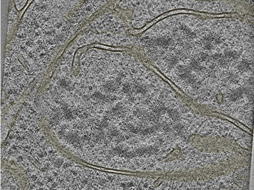 key visualization for 20221005_P2_ts_007