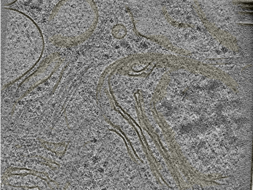 key visualization for 20221005_P2_ts_008